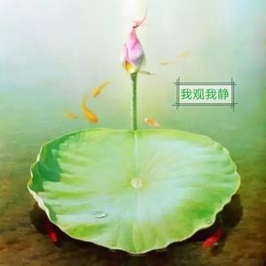 观静圆头像