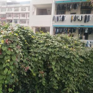 这是青春该有的模样头像