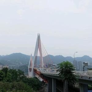 静静读书头像