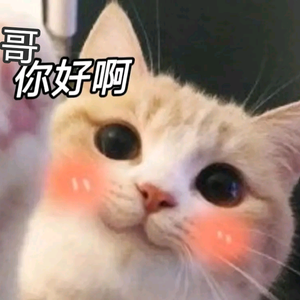 努力的秀猫头像