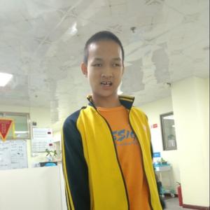 就是了是了