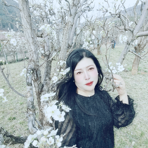 孤岛头像