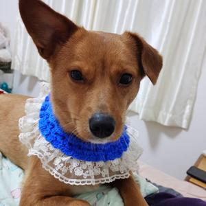 波莉樘手工 头像