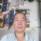 优美博虎头像