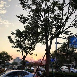 没有。头像