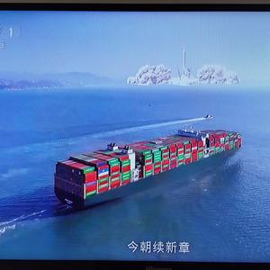 reifang头像
