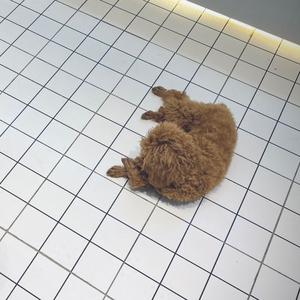 老叔讲电影头像
