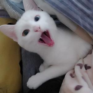 千暖7头像