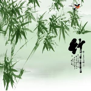 竹叶青青头像