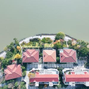 W金金夆头像