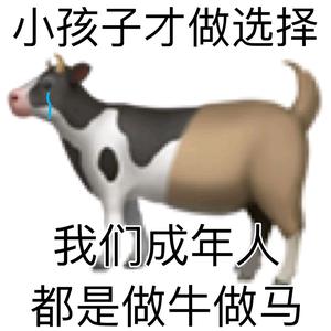 爱音乐塞西尔8y头像