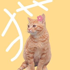 猫猫火锅头像