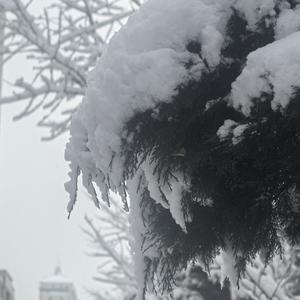 老陈说事头像