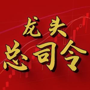 龙头总司令头像