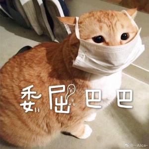 乐乐头像