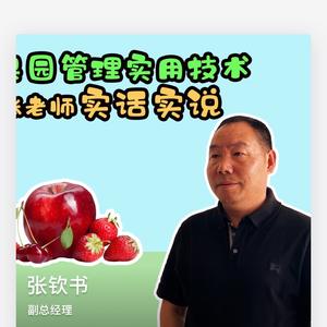 螺丝钉一一张钦书头像