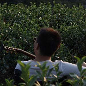 海子、头像