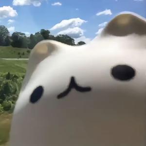 喵佳头像