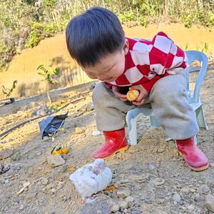 钩织小白鸭头像