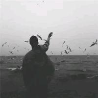 自由橙子5k1f头像