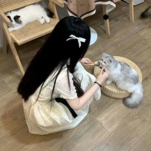 泠栀屿头像