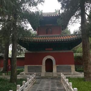 幽云书香头像