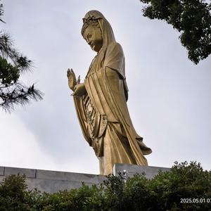 沧浪雅青头像