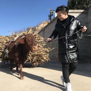 博学多才的迟导头像