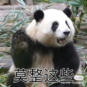 一小章鱼头像