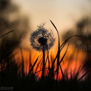 轻轻静听头像