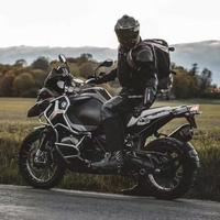 优雅的沃尔夫头像