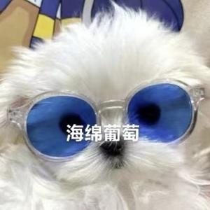 海绵葡萄头像