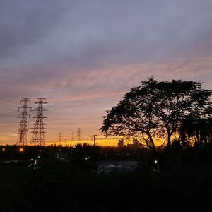 杂闻社头像