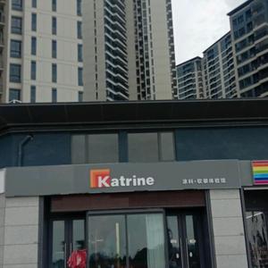 德国katrine进口艺术涂料漆拎包入住头像