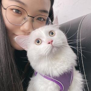 浙江金恒德汽车物流广场岳森汽车用品商行头像