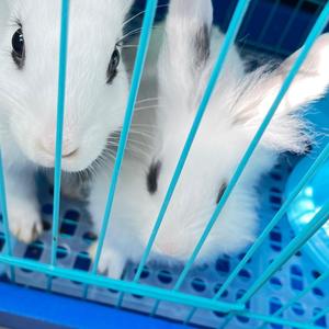 哼哈小吃货 头像