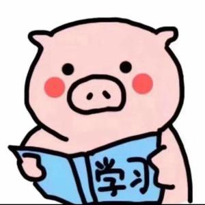 猪猪点灯头像