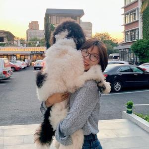 快乐的溪水fV头像