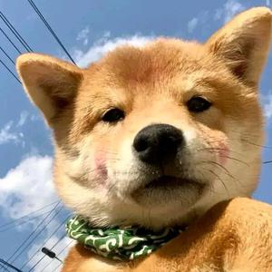 小吴同学很认真头像