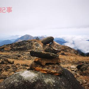 阿淮纪事头像