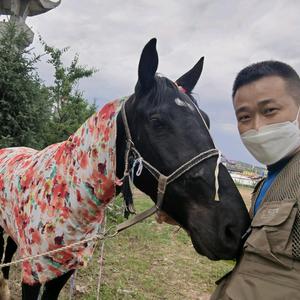 行者大力骑马回南京头像