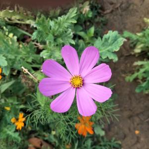 江江好153头像