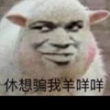 点就完头像