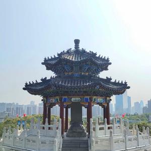 峰哥档案馆头像