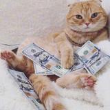 金牙n头像