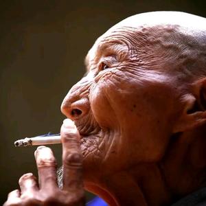 番茄743685886582308头像