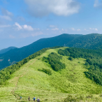 柳年思水头像