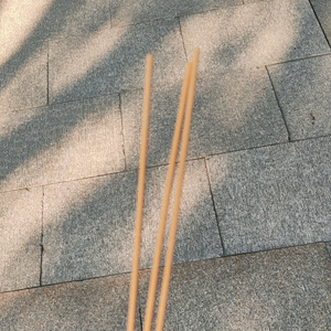 蓝氏老末头像