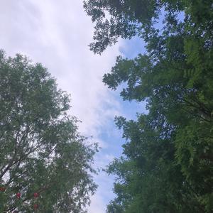 开始头像