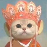 阿Song的朋友圈头像